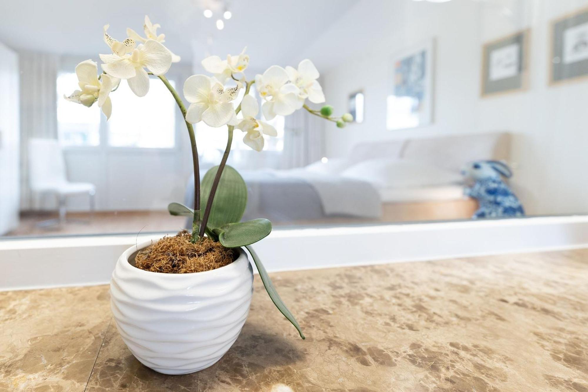 Haus Eva Mar Am Meer Appartement 1 ティメンドルファー・シュトラント エクステリア 写真